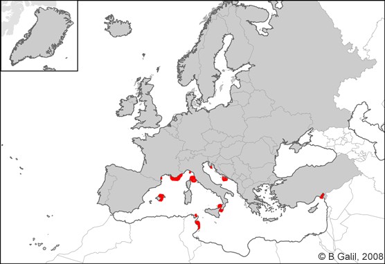 Caulerpa taxifolia Med Sea map