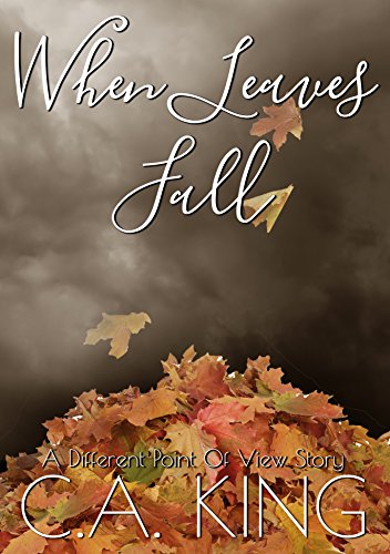 When Leaves Fall (A Different Point of View Story Book 1)